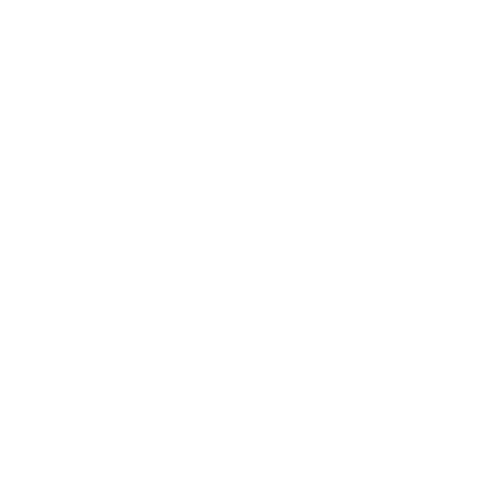 PhysioHome Logo